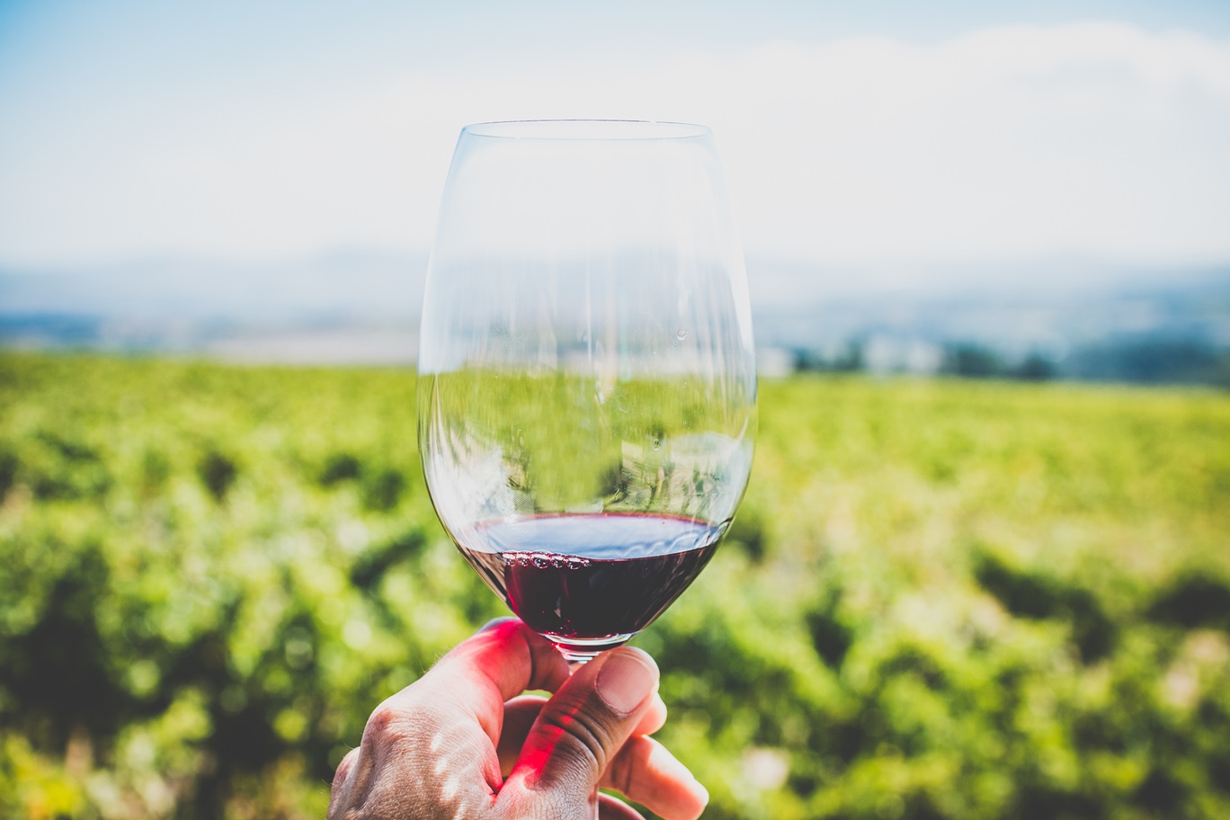 Vini francesi e sloveni